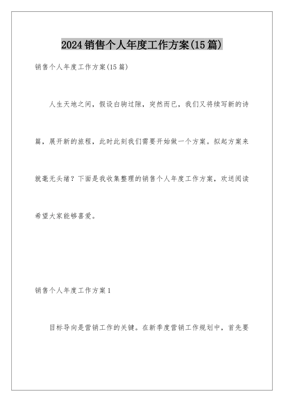 2024年销售个人年度工作计划_第1页