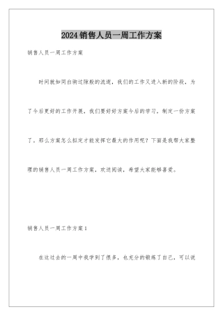 2024年销售人员一周工作计划