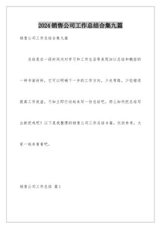 2024年销售公司工作总结合集九篇