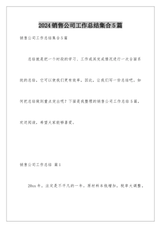 2024年销售公司工作总结集合5篇