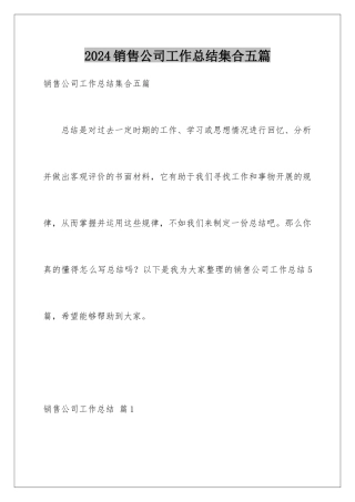 2024年销售公司工作总结集合五篇