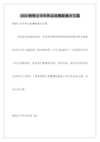 2024年销售公司年终总结模板集合五篇