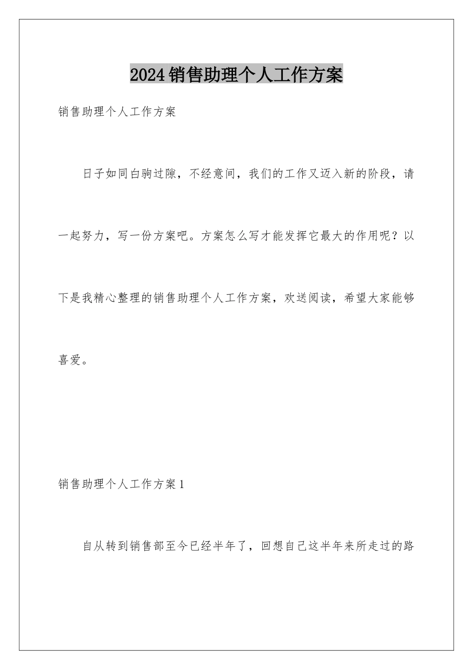 2024年销售助理个人工作计划_第1页