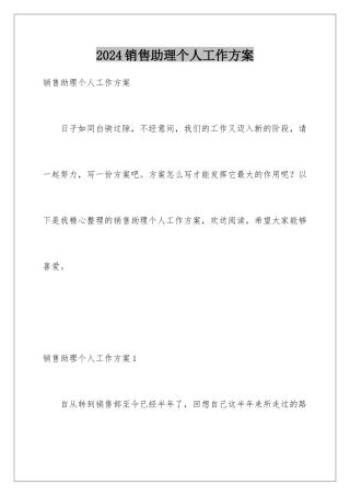 2024年销售助理个人工作计划