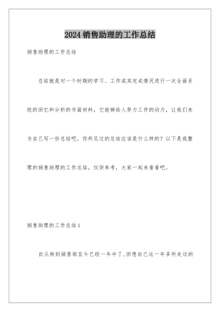 2024年销售助理的工作总结