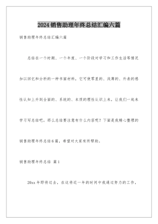 2024年销售助理年终总结汇编六篇