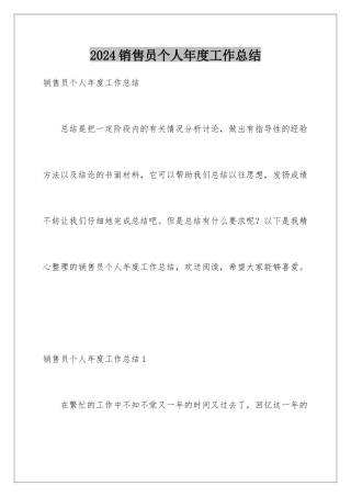 2024年销售员个人年度工作总结