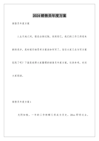 2024年销售员年度计划