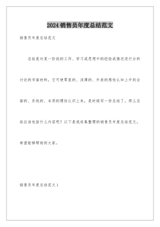 2024年销售员年度总结范文