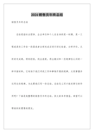 2024年销售员年终总结