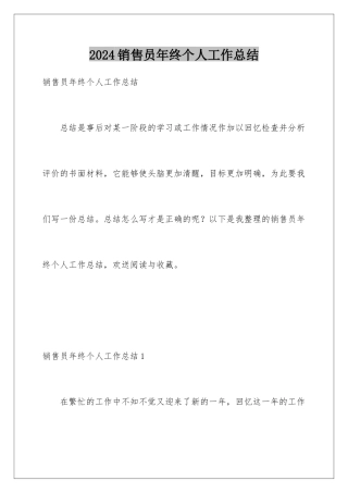 2024年销售员年终个人工作总结