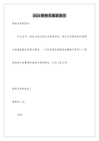2024年销售员离职报告