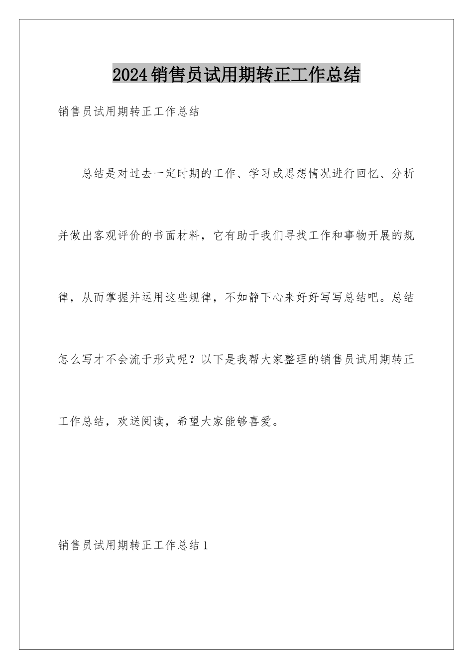 2024年销售员试用期转正工作总结_第1页