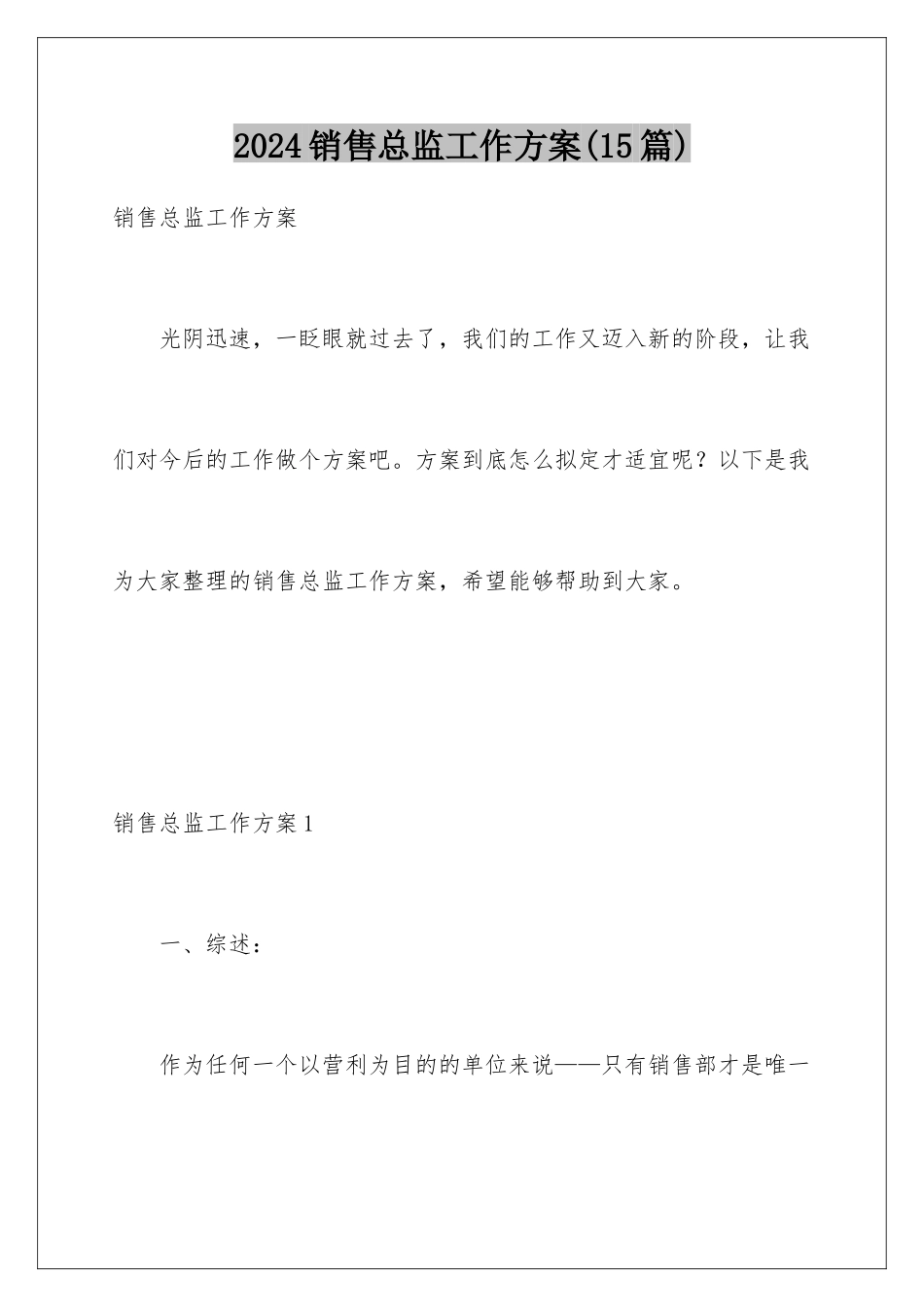 2024年销售总监工作计划_第1页