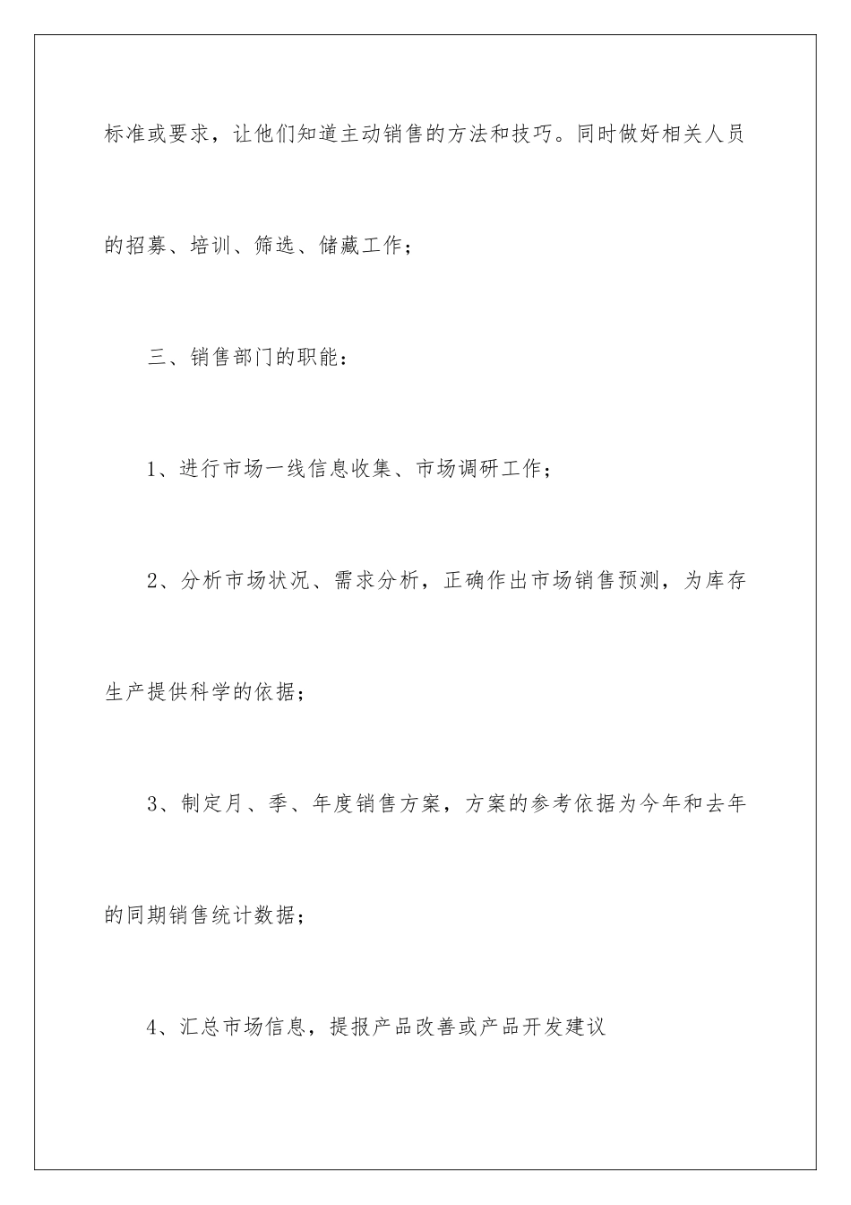 2024年销售总监工作计划_第3页