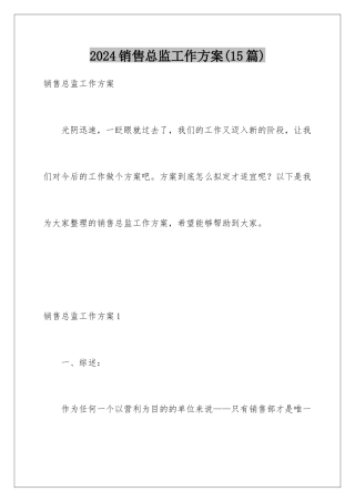 2024年销售总监工作计划