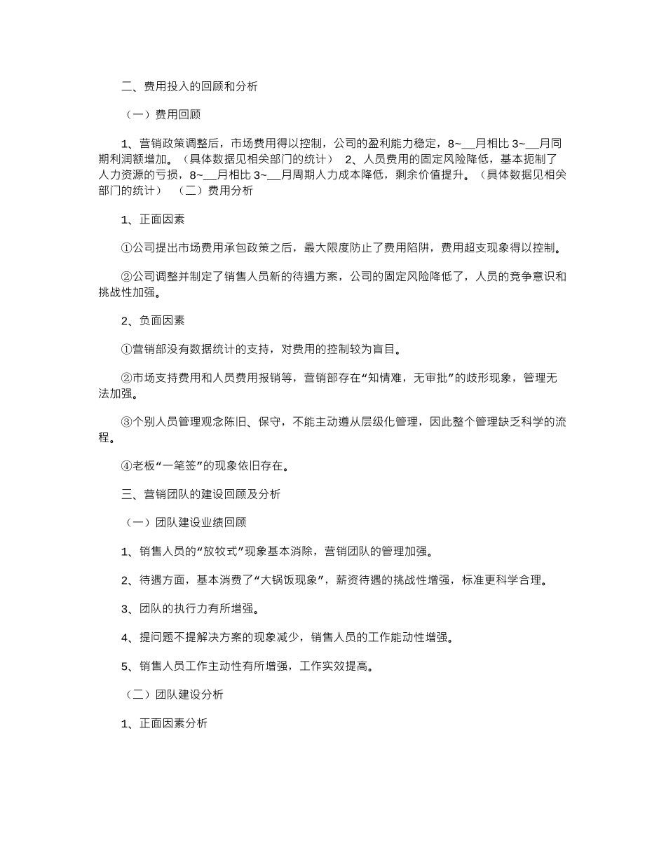 2024年销售总监的年度个人工作总结_第2页