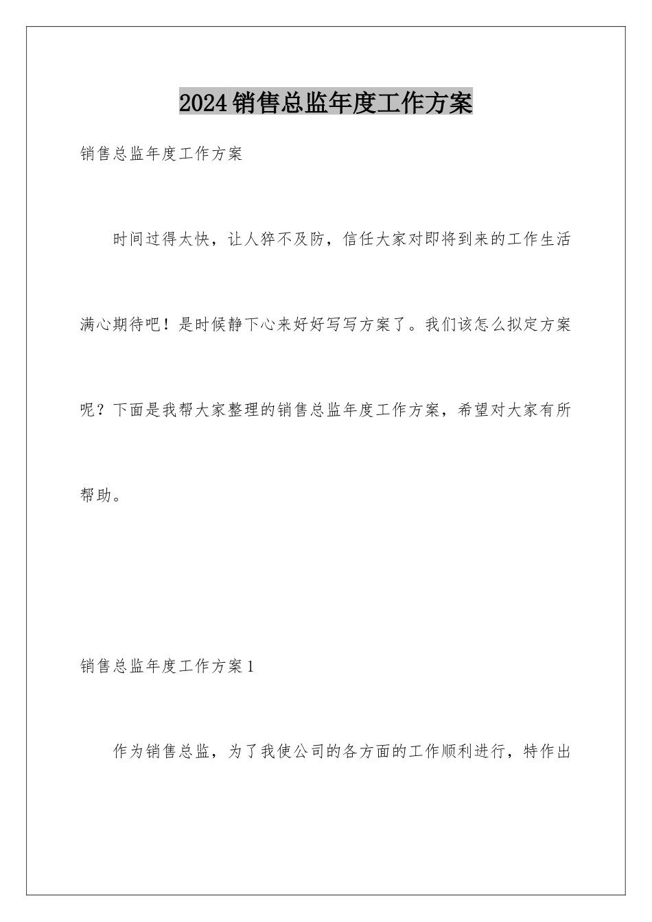 2024年销售总监年度工作计划_第1页