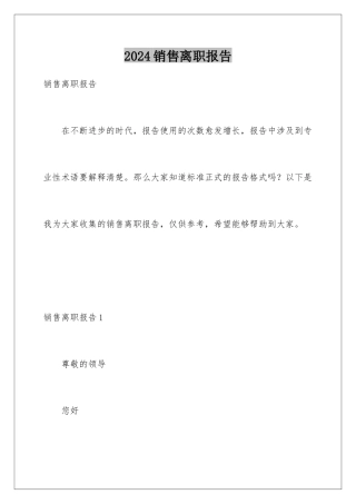2024年销售离职报告