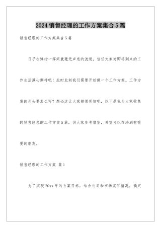 2024年销售经理的工作计划集合5篇