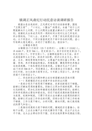 2024年镇调正风肃纪行动民意访谈调研报告-