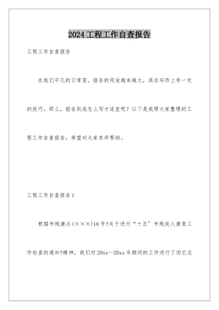 2024年项目工作自查报告