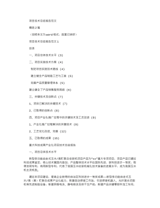2024年项目技术总结报告例文