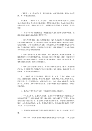 2024年预算员工作总结