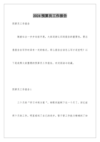 2024年预算员工作报告