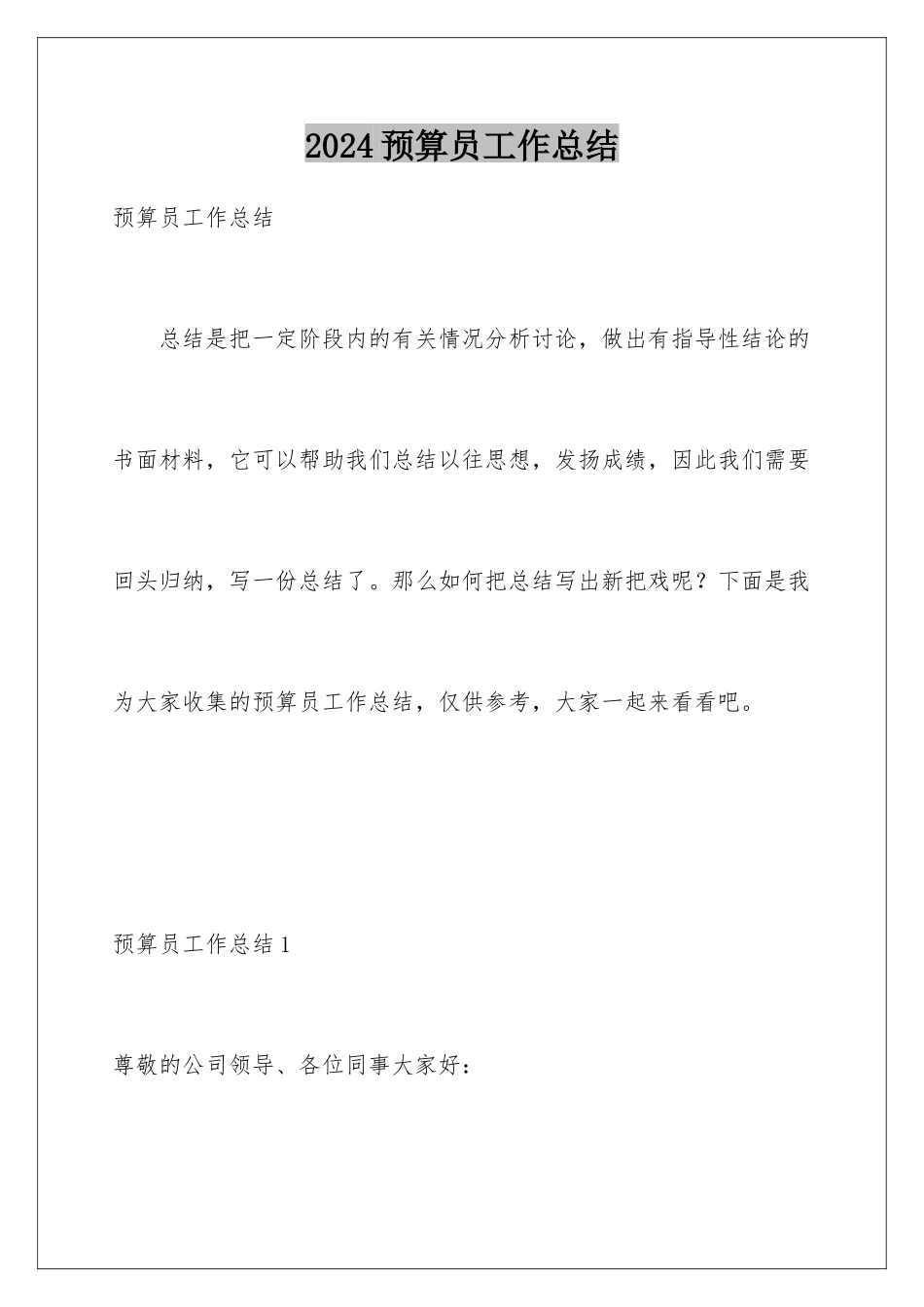 2024年预算员工作总结_第1页