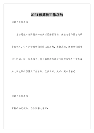 2024年预算员工作总结