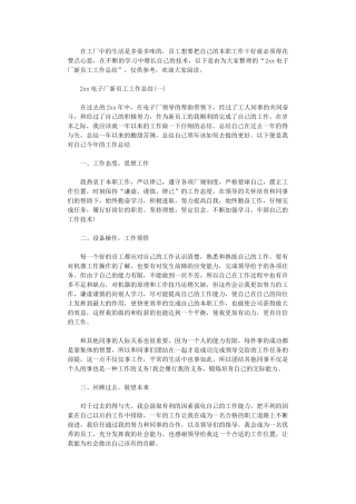 2024电子厂新员工工作总结