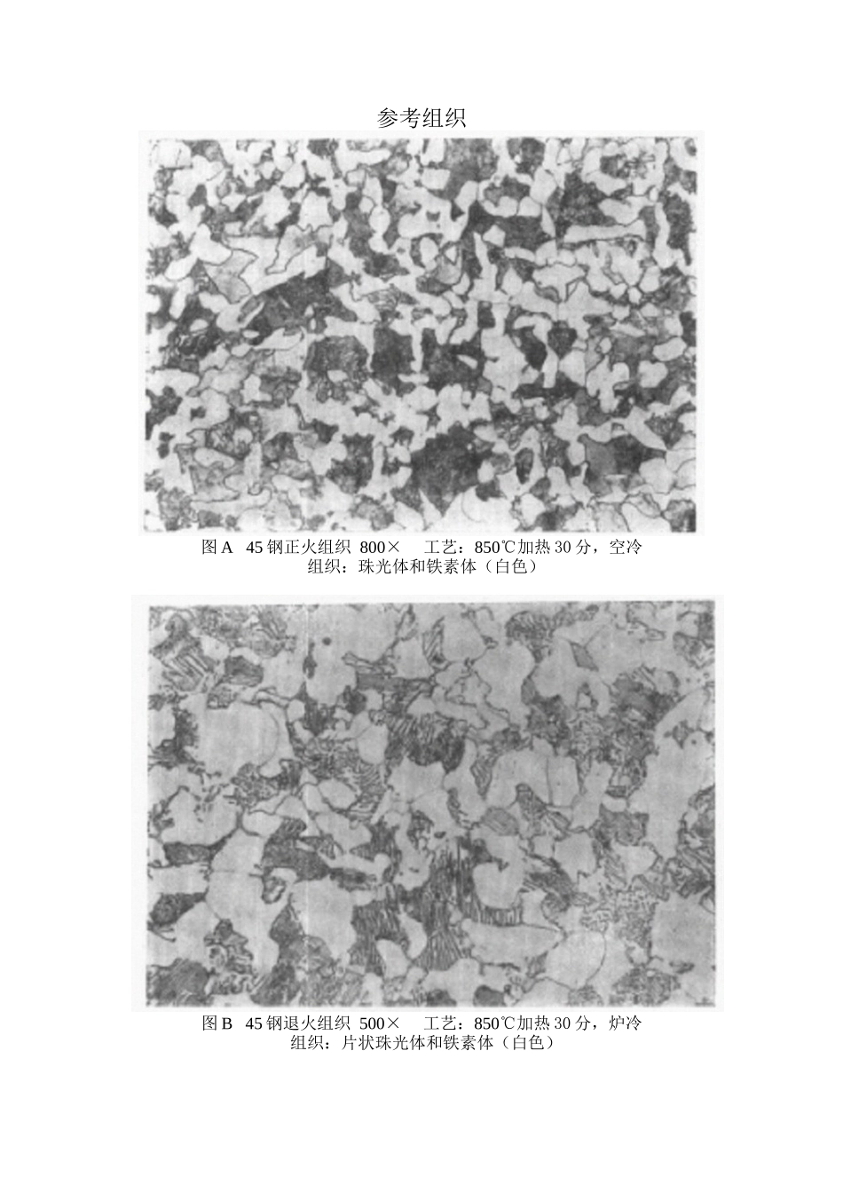 45钢金相组织参考_第1页