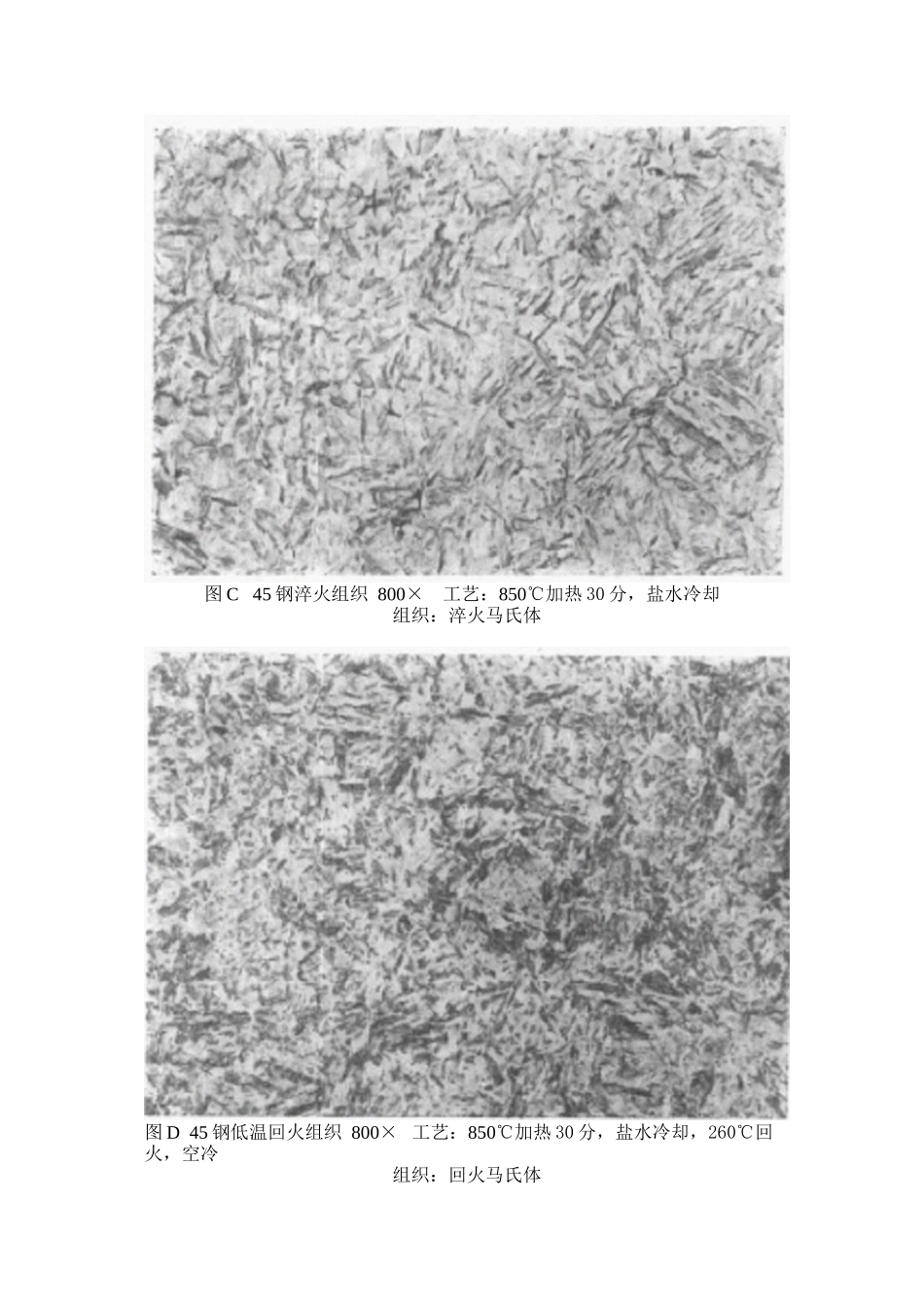 45钢金相组织参考_第2页