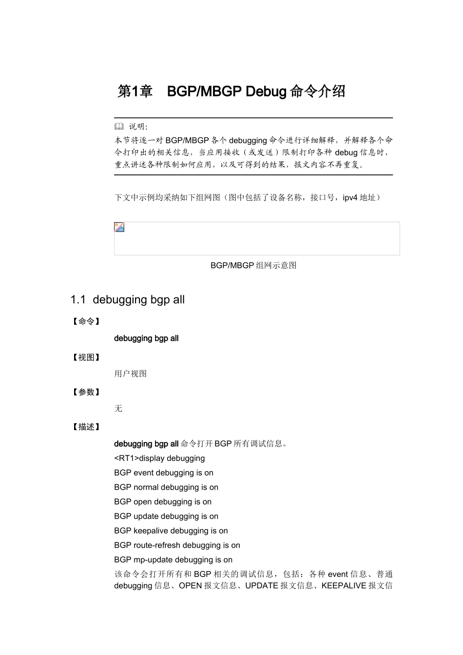 BGP模块Debug命令手册-vrp3.4_第2页