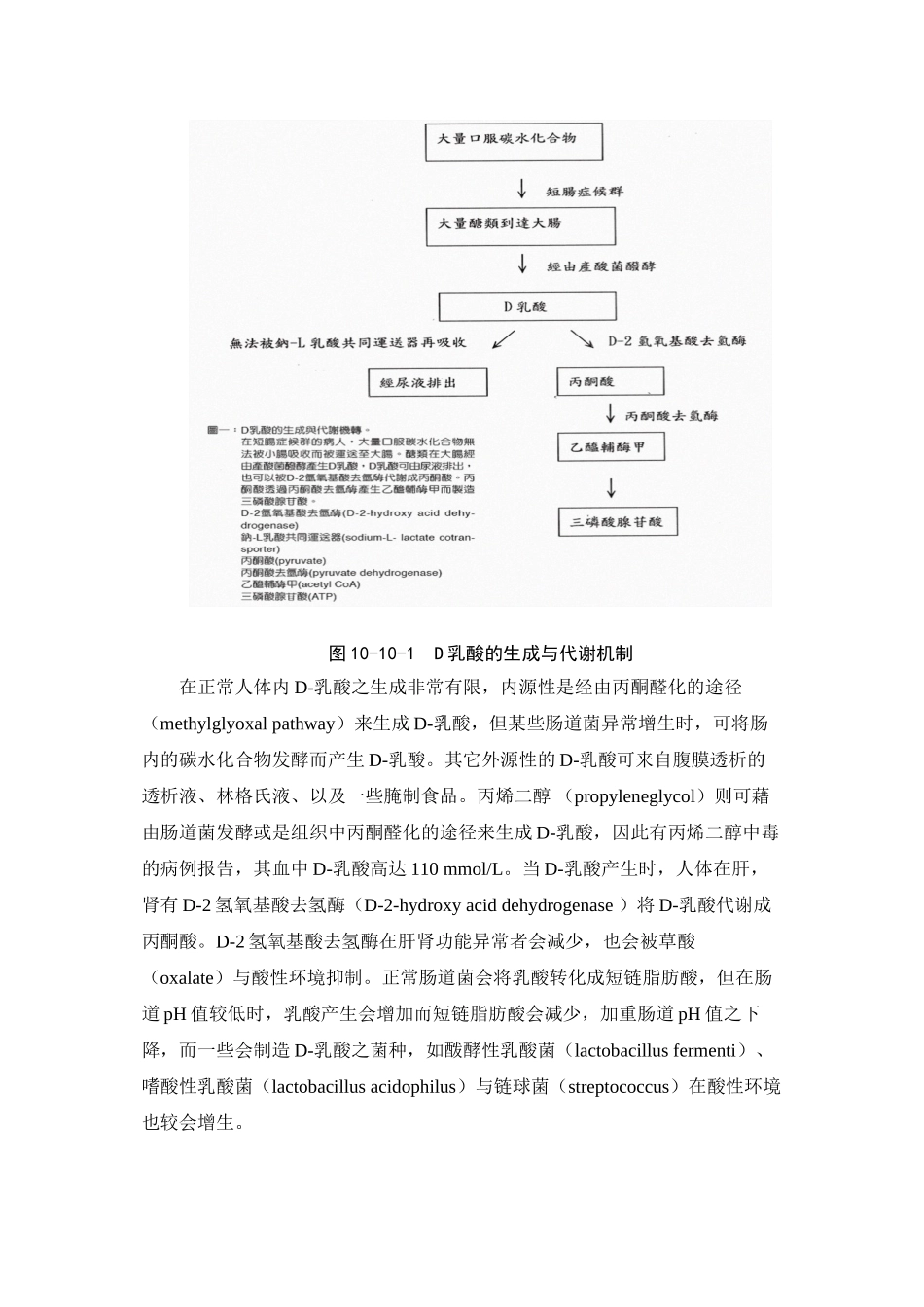 D-乳酸中毒脑病_第2页