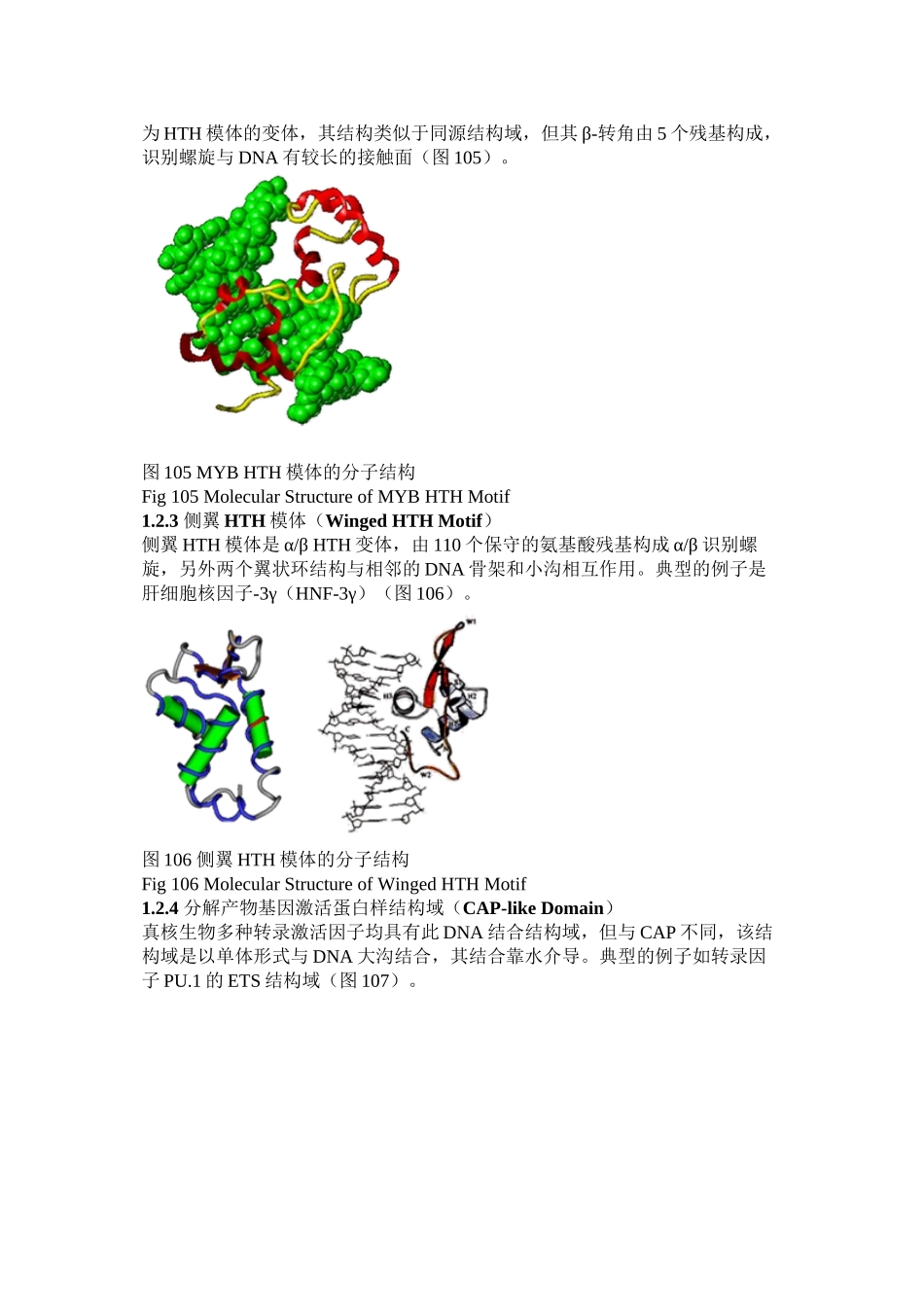 DNA与蛋白质相互作用的结构特征_第2页