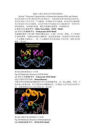 DNA与蛋白质相互作用的结构特征