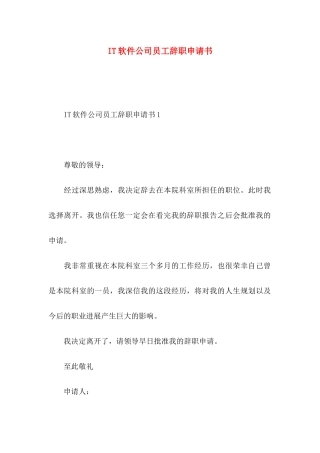 IT软件公司员工辞职申请书