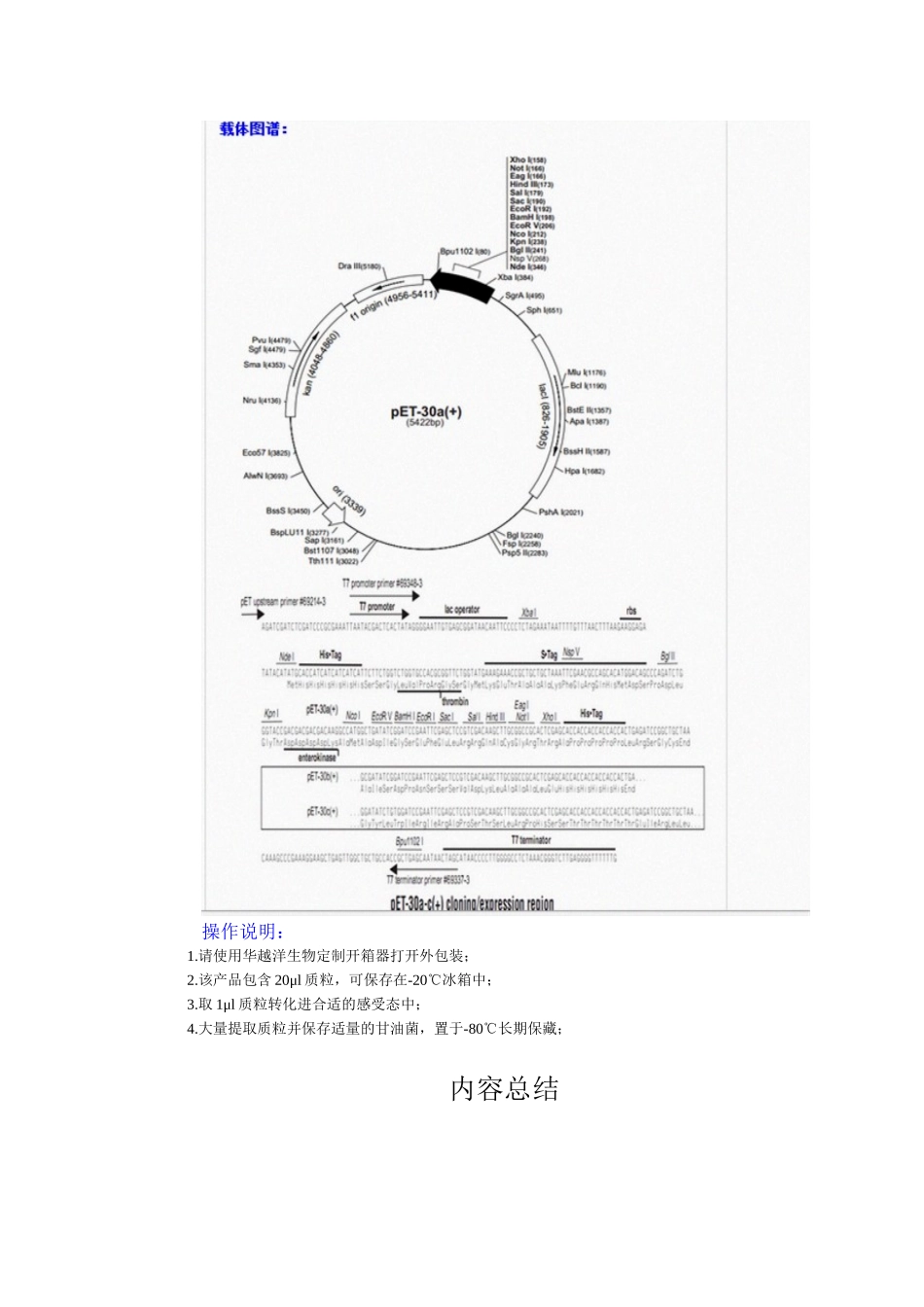 pET-30a大肠杆菌表达载体-质粒-菌株_第2页