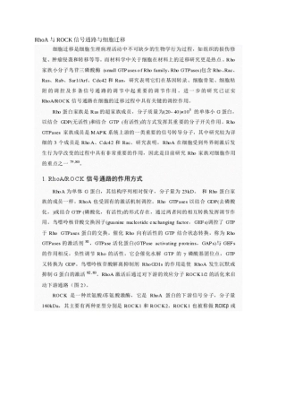 RhoA与ROCK信号通路与细胞迁移