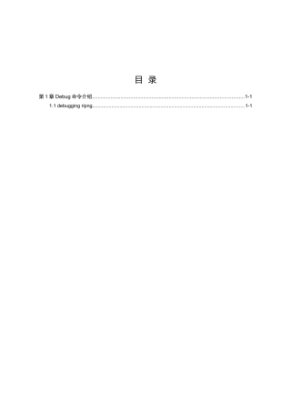 Ripng模块Debug命令详解（金炜）