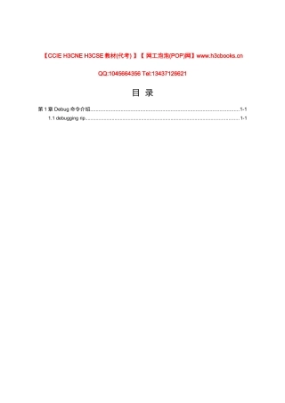 Rip模块Debug命令详解