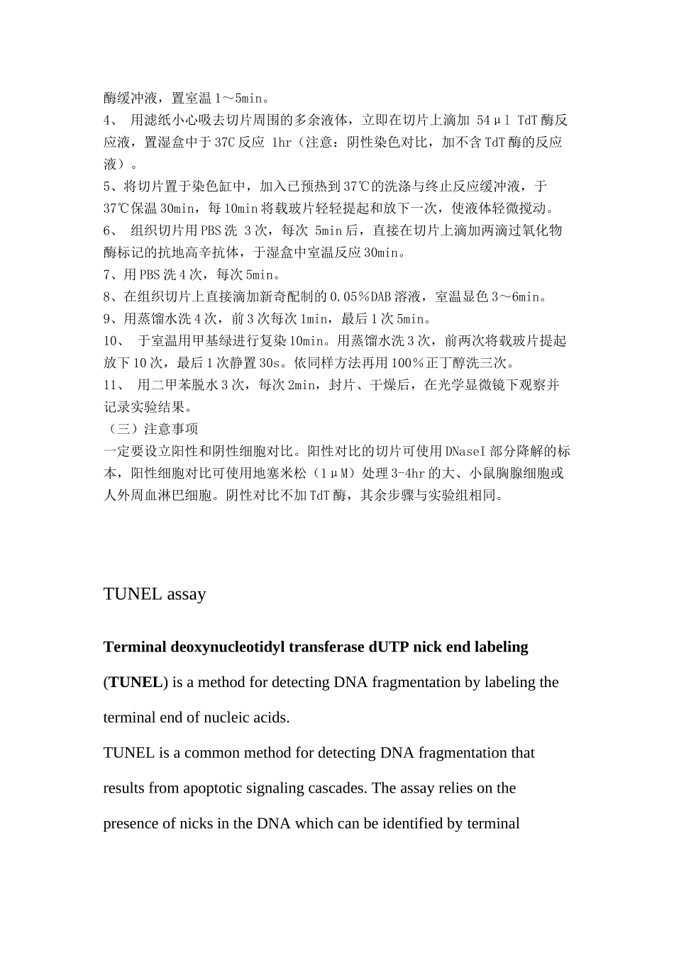 TUNEL染色检测细胞凋亡_第3页