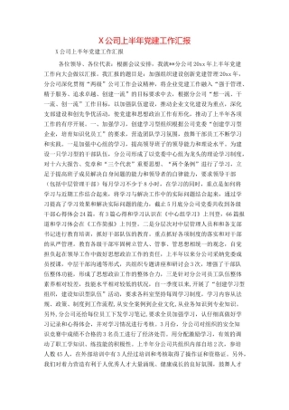 X公司上半年党建工作汇报