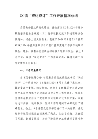“双述双评”工作开展情况总结