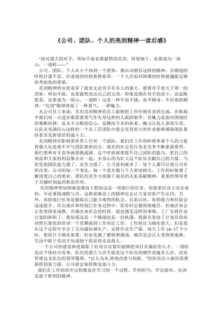《公司、团队、个人的亮剑精神—读后感》
