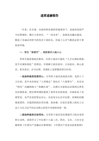 【每日范文-领导致辞】述责述廉报告