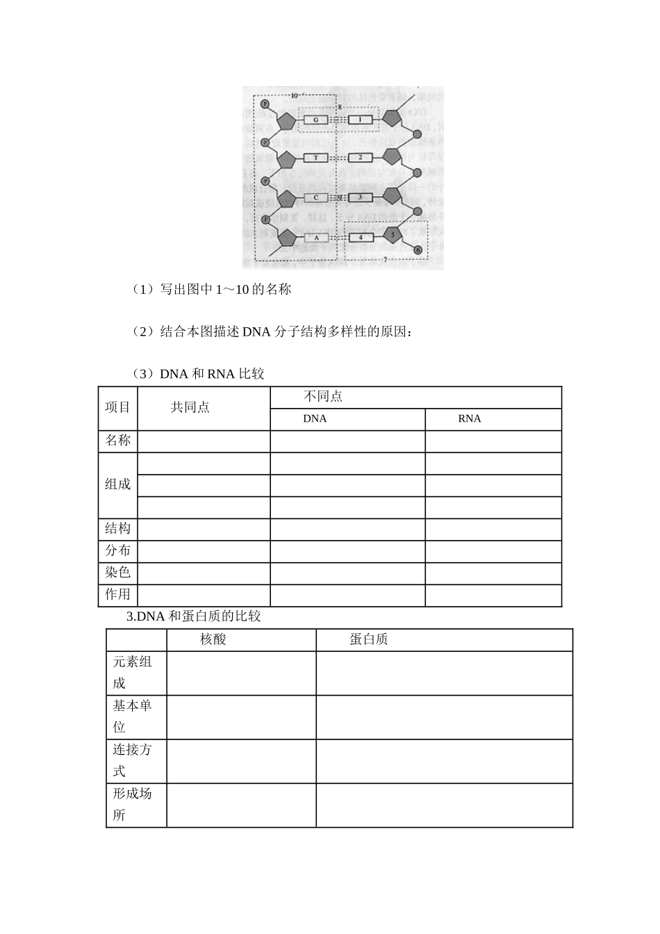 【赢在起点】2024一轮复习学案4-核酸、细胞中的糖类和脂质_第3页