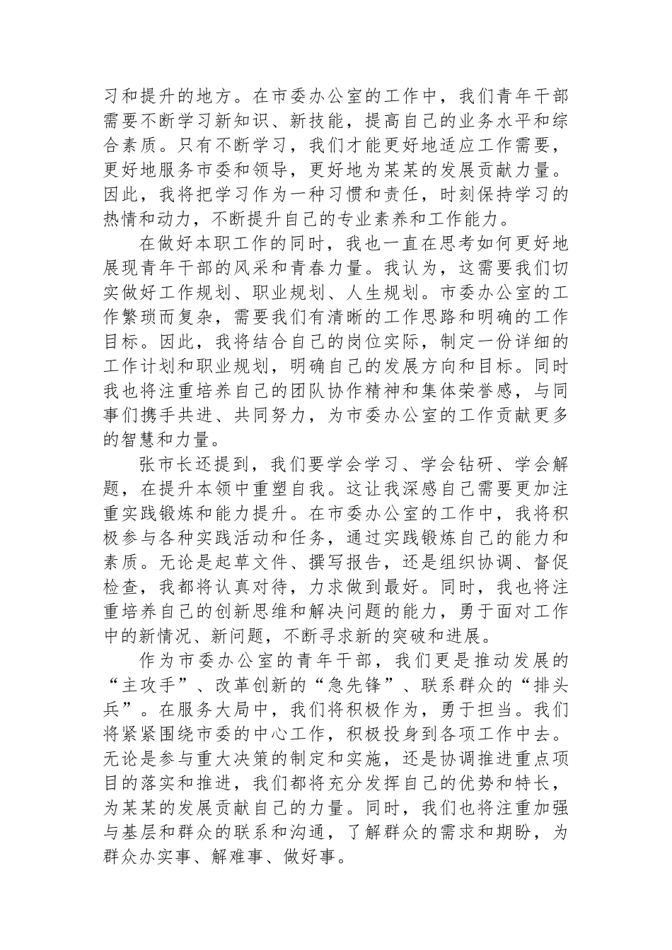 在全市青年干部座谈会上的发言_第2页